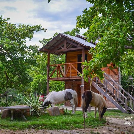 Oca Tocarijus Eco Resort Piracuruca ภายนอก รูปภาพ