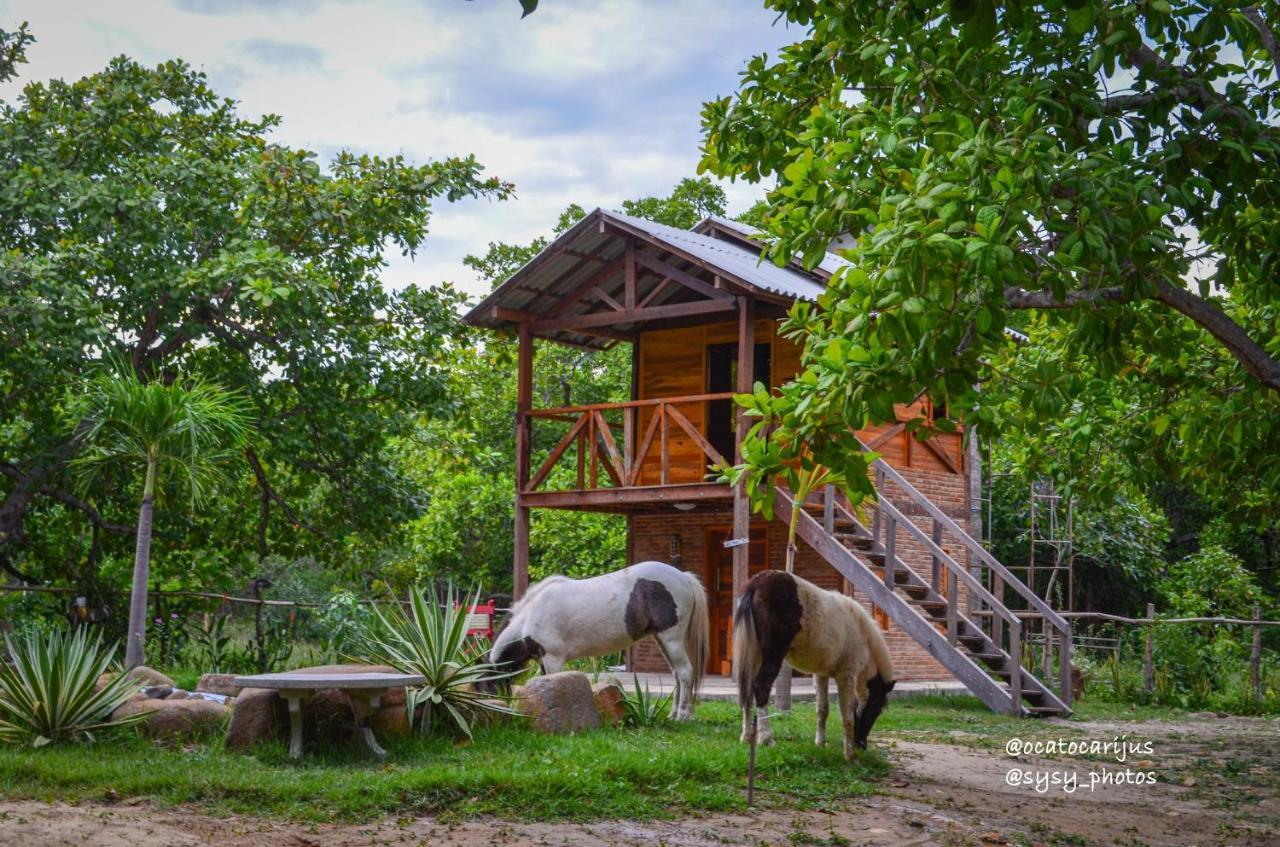Oca Tocarijus Eco Resort Piracuruca ภายนอก รูปภาพ