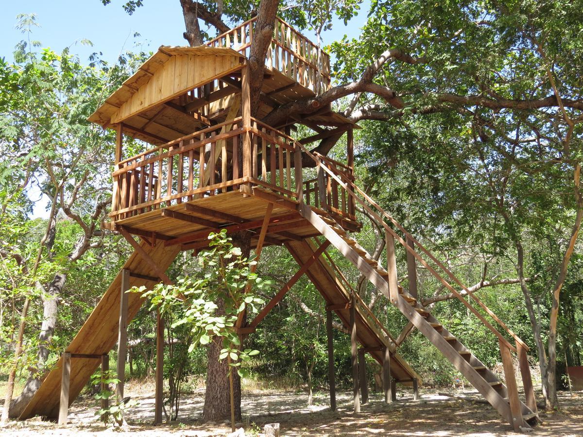 Oca Tocarijus Eco Resort Piracuruca ภายนอก รูปภาพ
